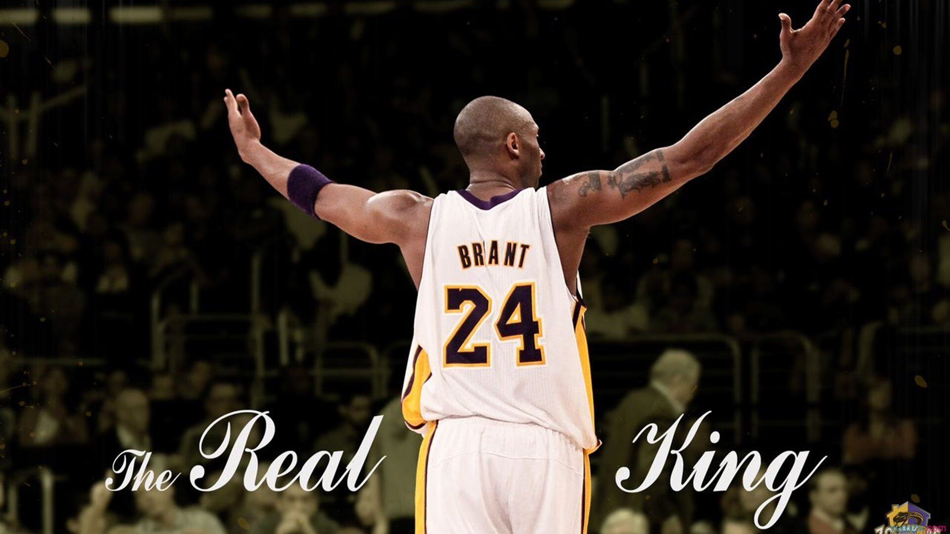 “萨尔·巴赫:南非羚羊队的新希望,老队员的强大支持”